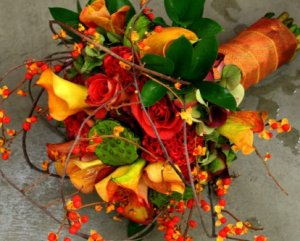 yellows and redsG.jpg