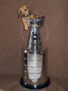 stanleyinthecup.JPG