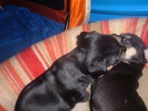 DSCF0753.JPG