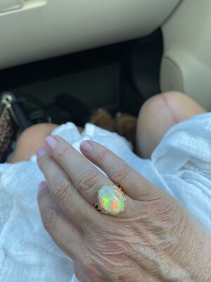 IMG_8346.jpeg