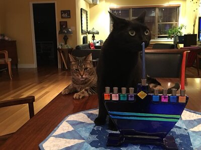 francescaandtommymenorah.jpg