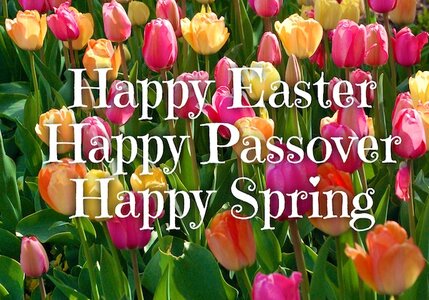 easter-passover-spring.jpg