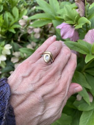 rosecut-hand.jpg rosecut-hand.jpg