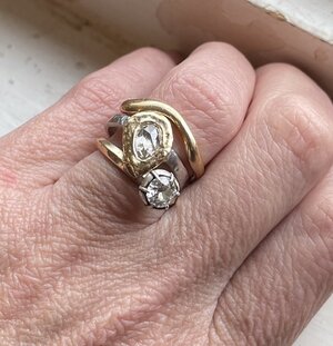 rosecut-mounted1.jpg rosecut-mounted1.jpg