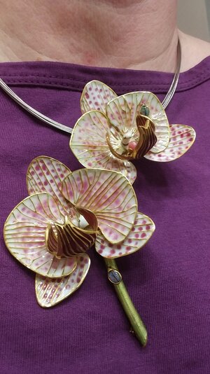 Orchid.jpg