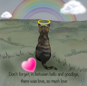 20220510_195318.png