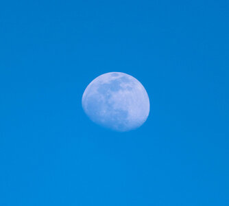 Gibbous moon.jpg