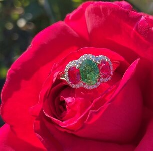 IMG_7117C.jpg