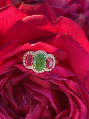 IMG_7121B.jpg