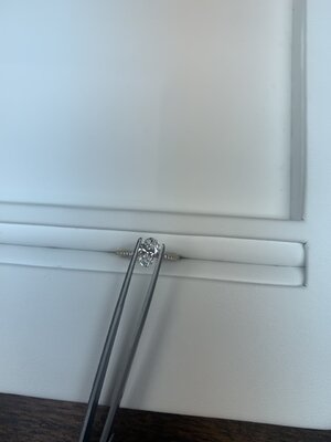 thumbnail_IMG_5881.jpeg