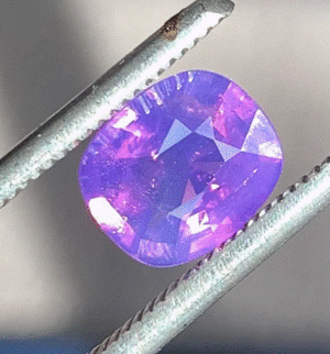 Screenshot 2022-06-15 212406.gif