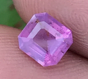 purplepink.gif