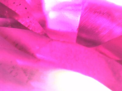 S20220623_0078.jpg