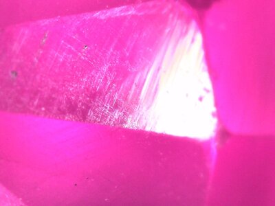 S20220623_0068.jpg
