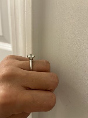 myring2.jpg myring2.jpg