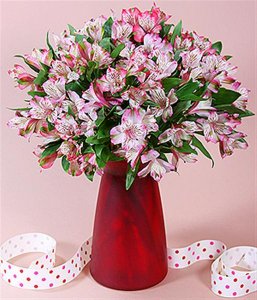 pink peruvian lillies 20 stems (Medium).jpg