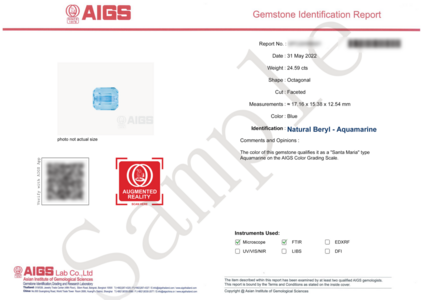 AIGS report(1).png AIGS report(1).png