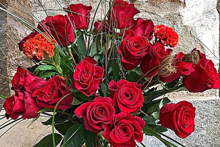 The-meaning-of-red-roses---Freedom-Roses-Naranjo-Roses---Winner-Leverano---Article-on-Thursd-(1).jpg