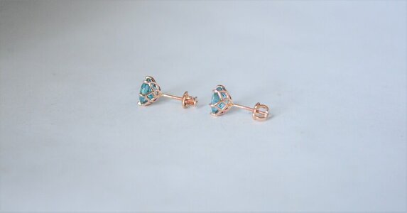 zearrings3.jpg zearrings3.jpg