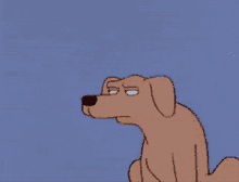 side-eye-shady.gif