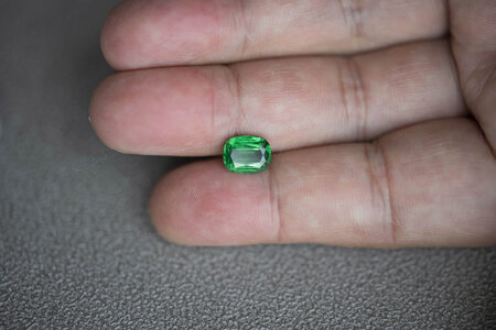 DSC_4483a.jpg