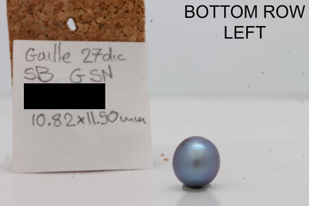 PS_BottomRow_Left_Info_WILD.jpg