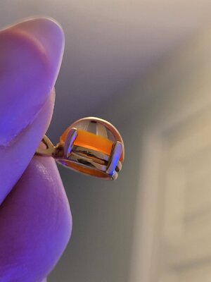 20220831_084521.jpg