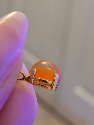 20220831_084447.jpg