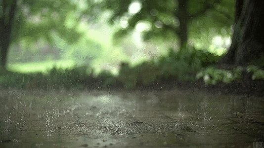 D04B58BF-A9C6-457E-9AC4-18B0E1FB51ED.gif