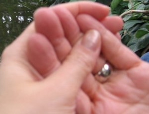 ps momhand.jpg