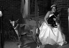 weddingpicciemeandpups.jpg
