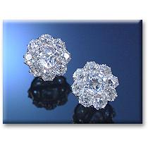 cluster design earrings.jpg