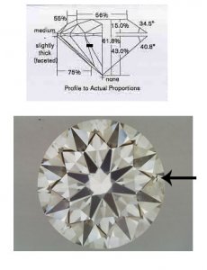 inclusionsi1 copy.jpg