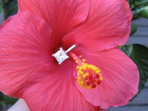 My Engagement Ring 028.jpg