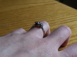 nanasring_handshot_rezised.JPG