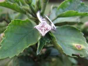 My Engagement Ring 029.jpg