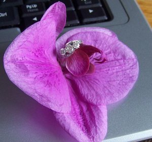 nanasring_orchid_resized.JPG