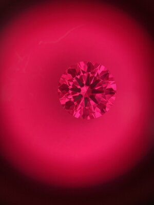 66C6D710-C673-4B19-82A2-97BDB5B382D2.jpeg