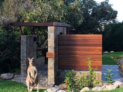 KANGAROOS_ARE_REGULAR_VISITORS_Pix_Paul_Butterworth_Architects_lhfgs4.jpg