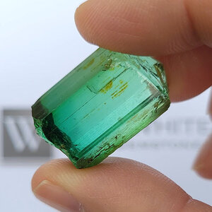 Blue-green Tourmaline 2.jpg Blue-green Tourmaline 2.jpg