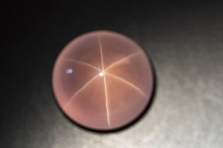 DSC_5981a.jpg