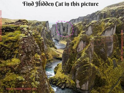 picture-puzzle-to-find-hidden-cat1answer.jpg