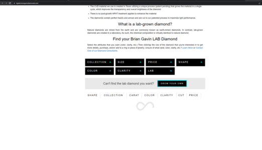 briangavinwebsite.png