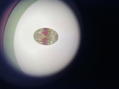 1C32B408-DA52-41F2-AC2E-1C59D4C4A779.jpeg