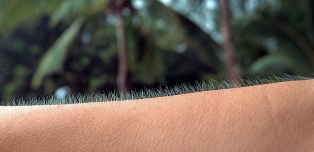 Goose Bumps.png
