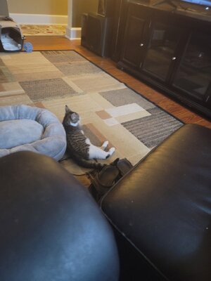 74EF4AF7-760A-4343-A625-F5D2FBDF29F0.jpeg