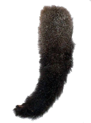 1667851623236.png