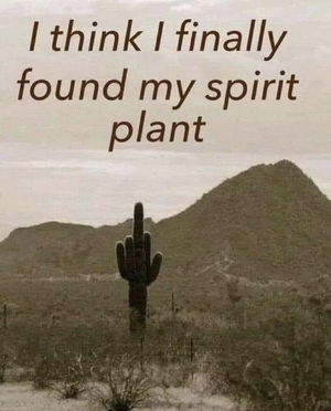 FOUND MY SPIRIT PLANT.png