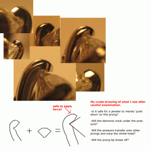 lppscollage3.gif lppscollage3.gif