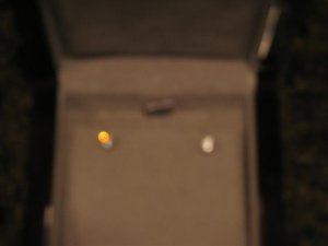 Fall 2007 413 (Small).jpg
